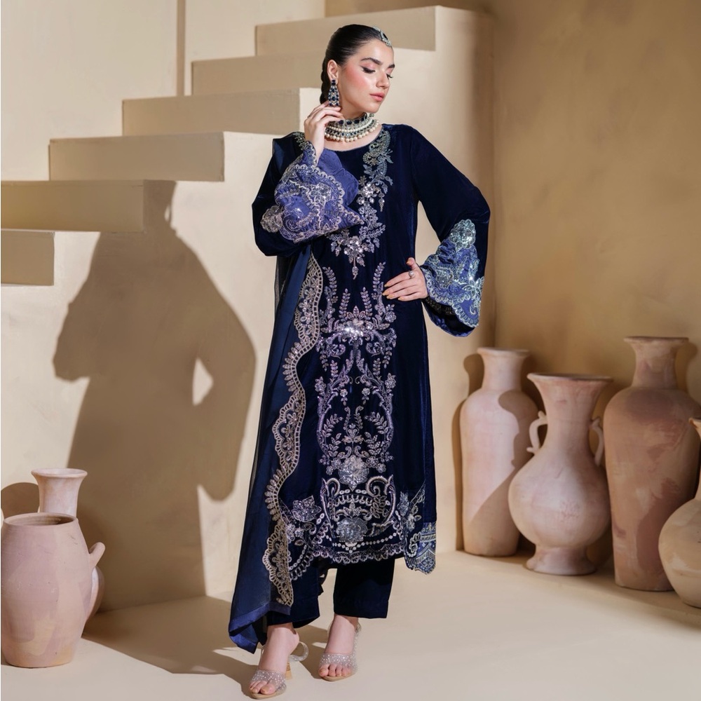 Elegant Navy Blue Embroidered velvet dress